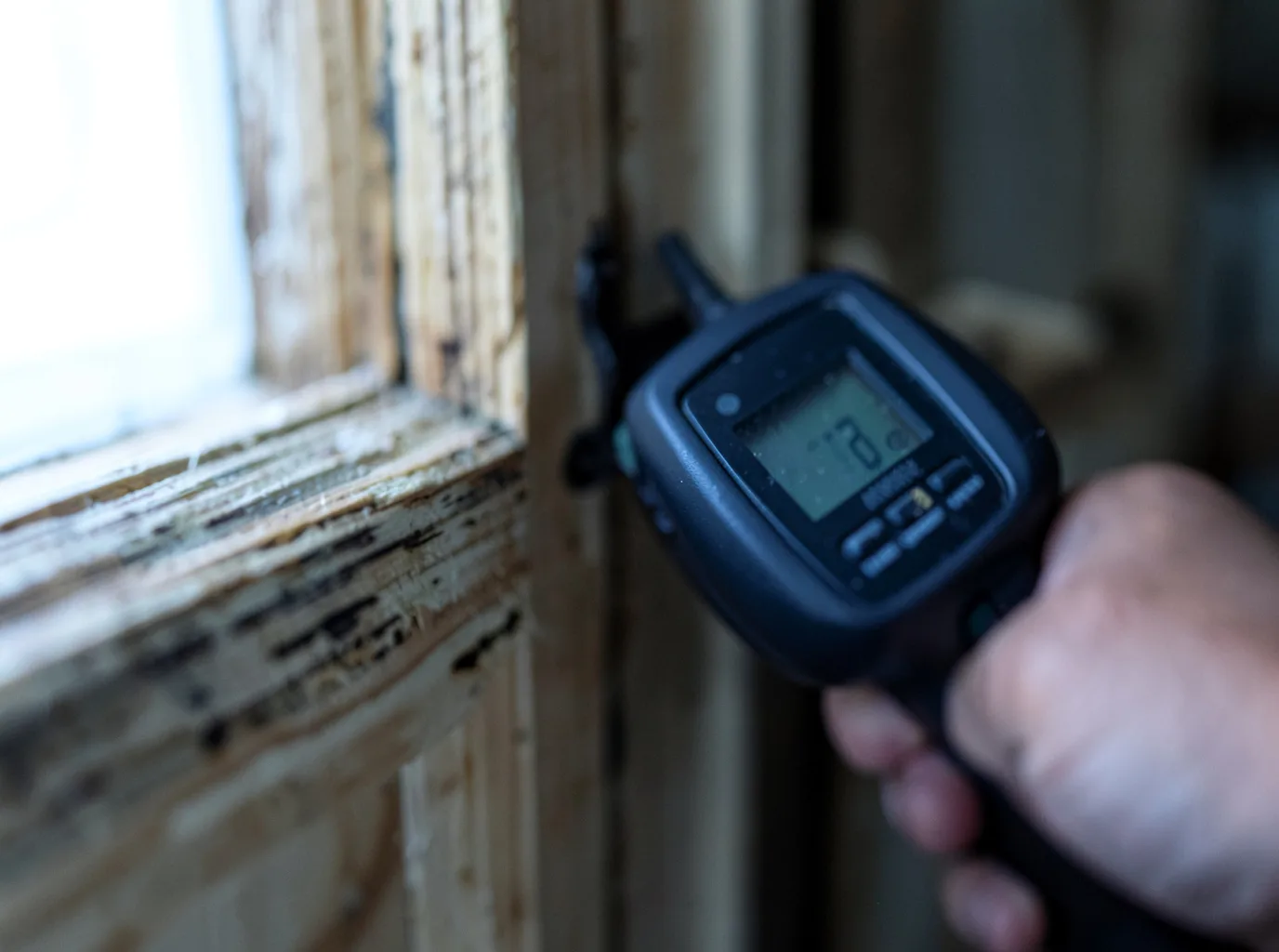 Moisture Inspection And Documentation in Center Conway, NH